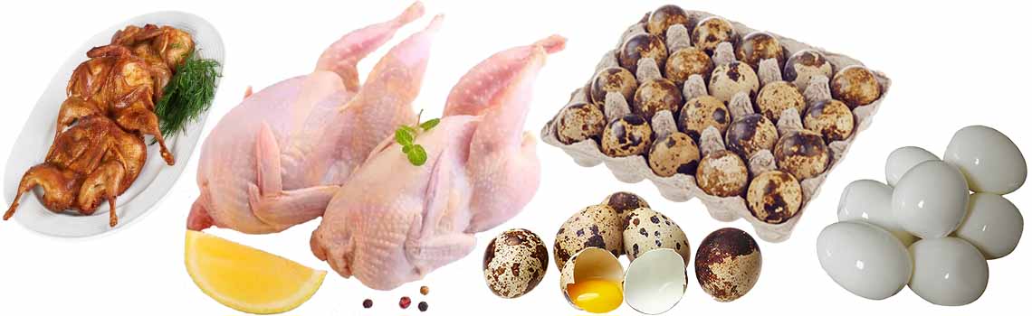 Купить домашние яйца и мясо птицы